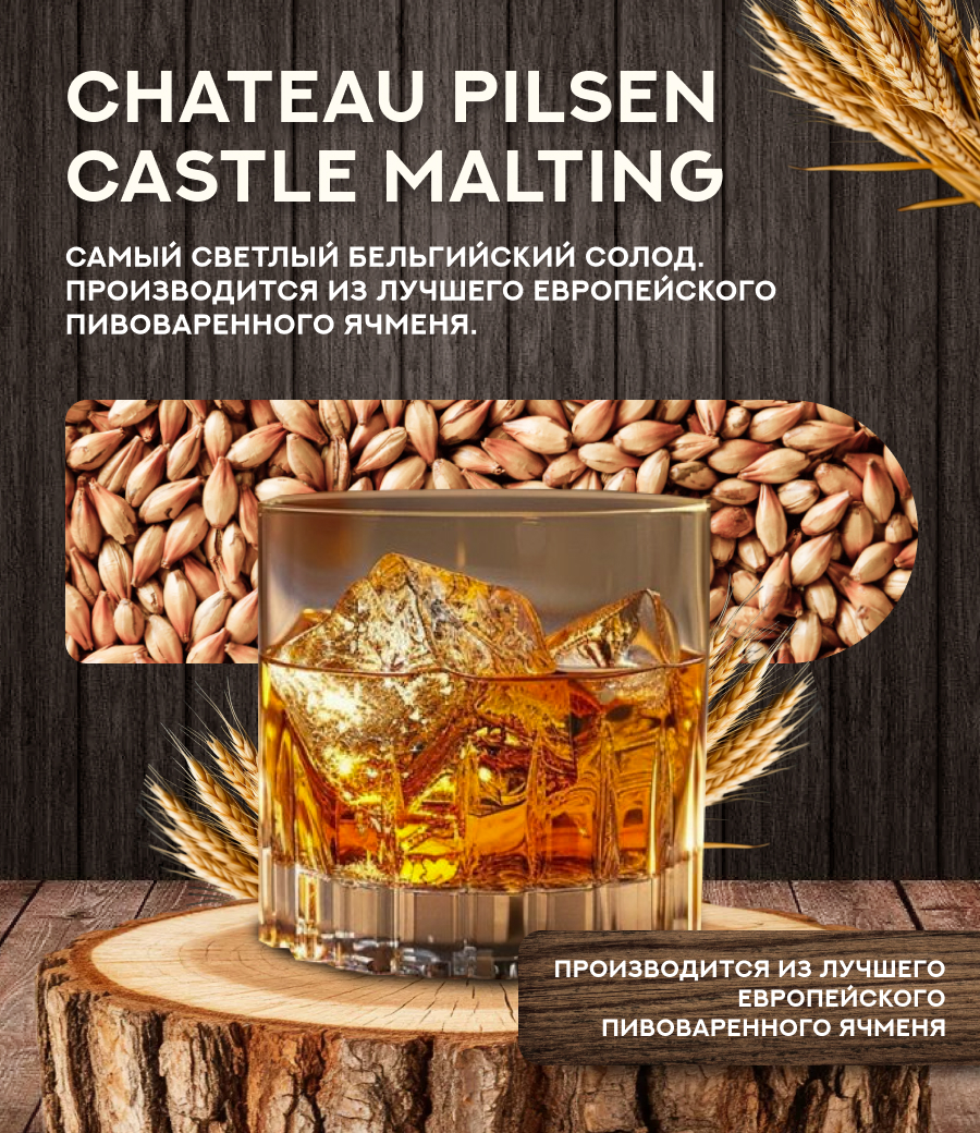 "СОЛОД CHATEAU PILSEN CASTLE MALTING", Бельгия